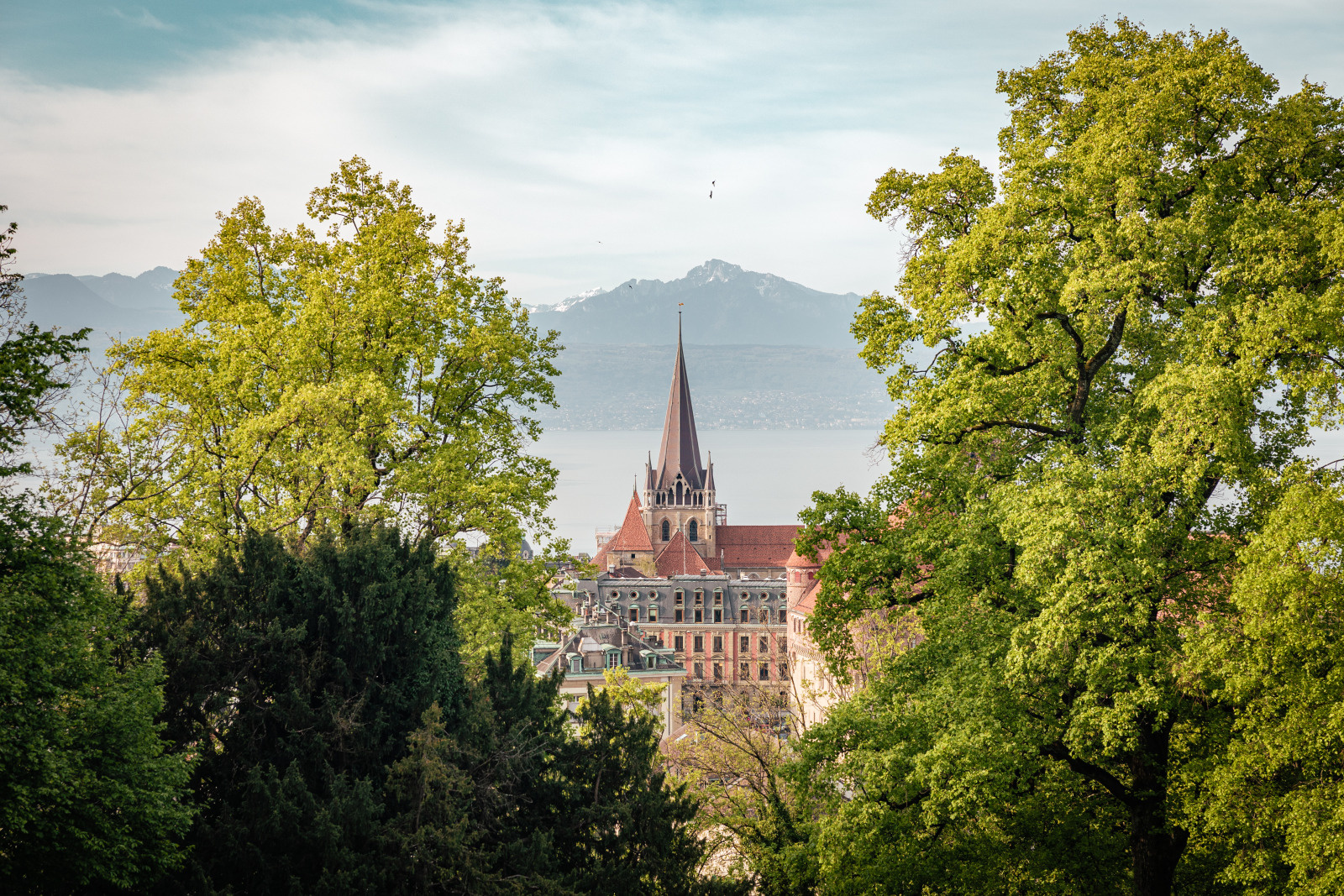 Vue sur la Cathedrale depuis le parc de l'Hermitage