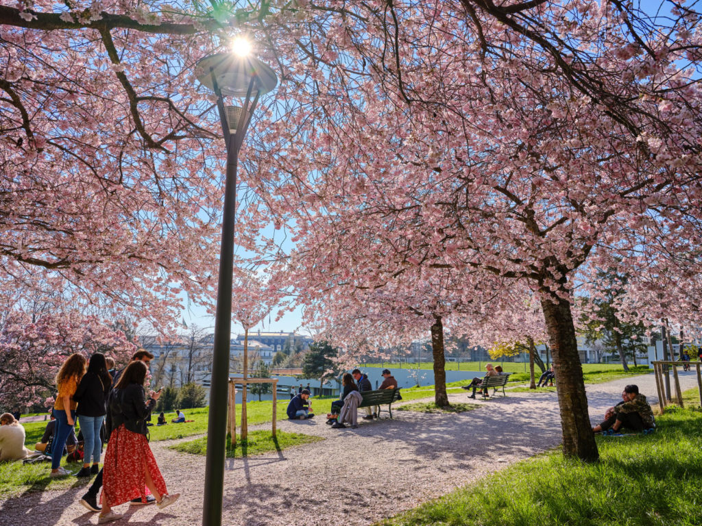 Le printemps à Lausanne