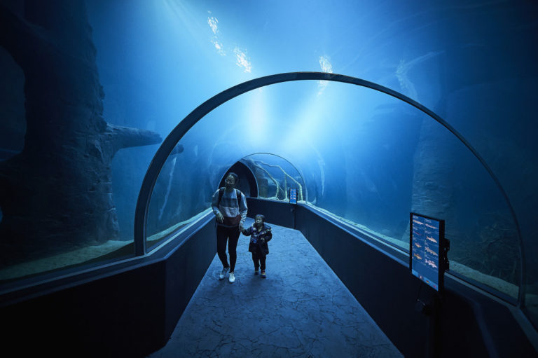 AQUATIS Evolution Tunnel (5)