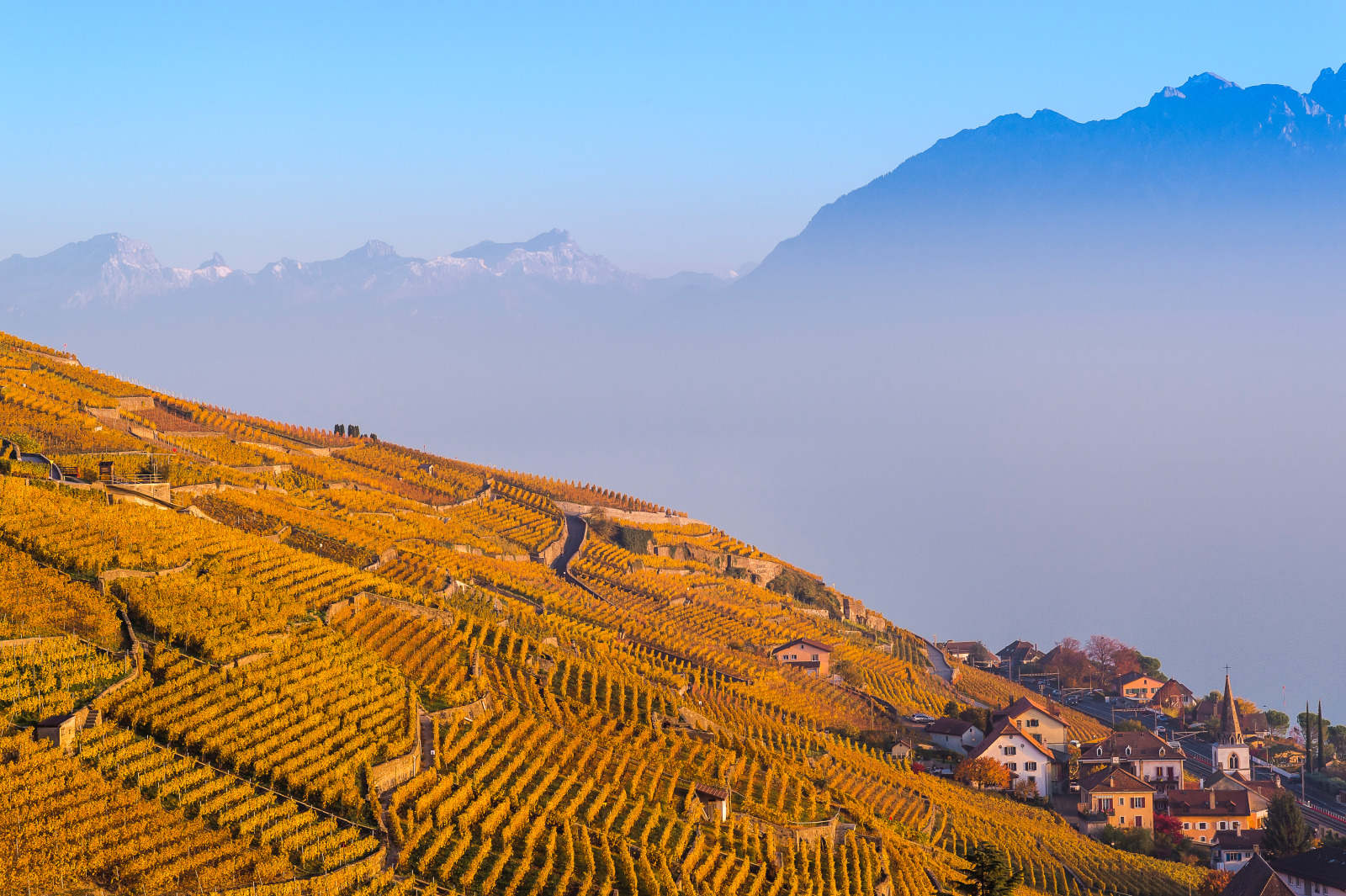 Le vignoble de Lavaux patrimoine de l'UNESCO