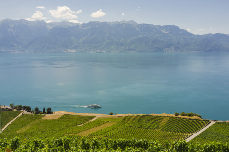 Vue sur le Lac Leman et les Alpes depuis Chexbres