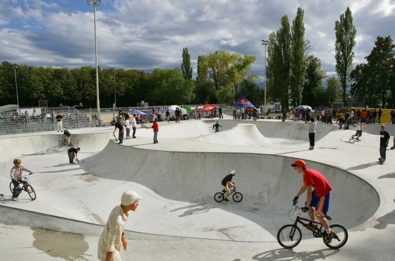 Skatepark a Vidy