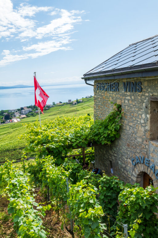 [Lausanne] Lavaux-14