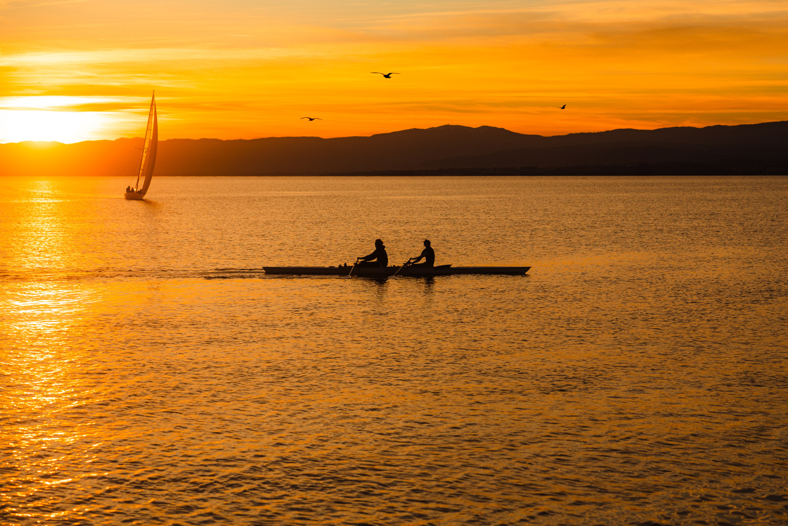 Coucher du soleil sur le lac Leman. Aviron et voilier