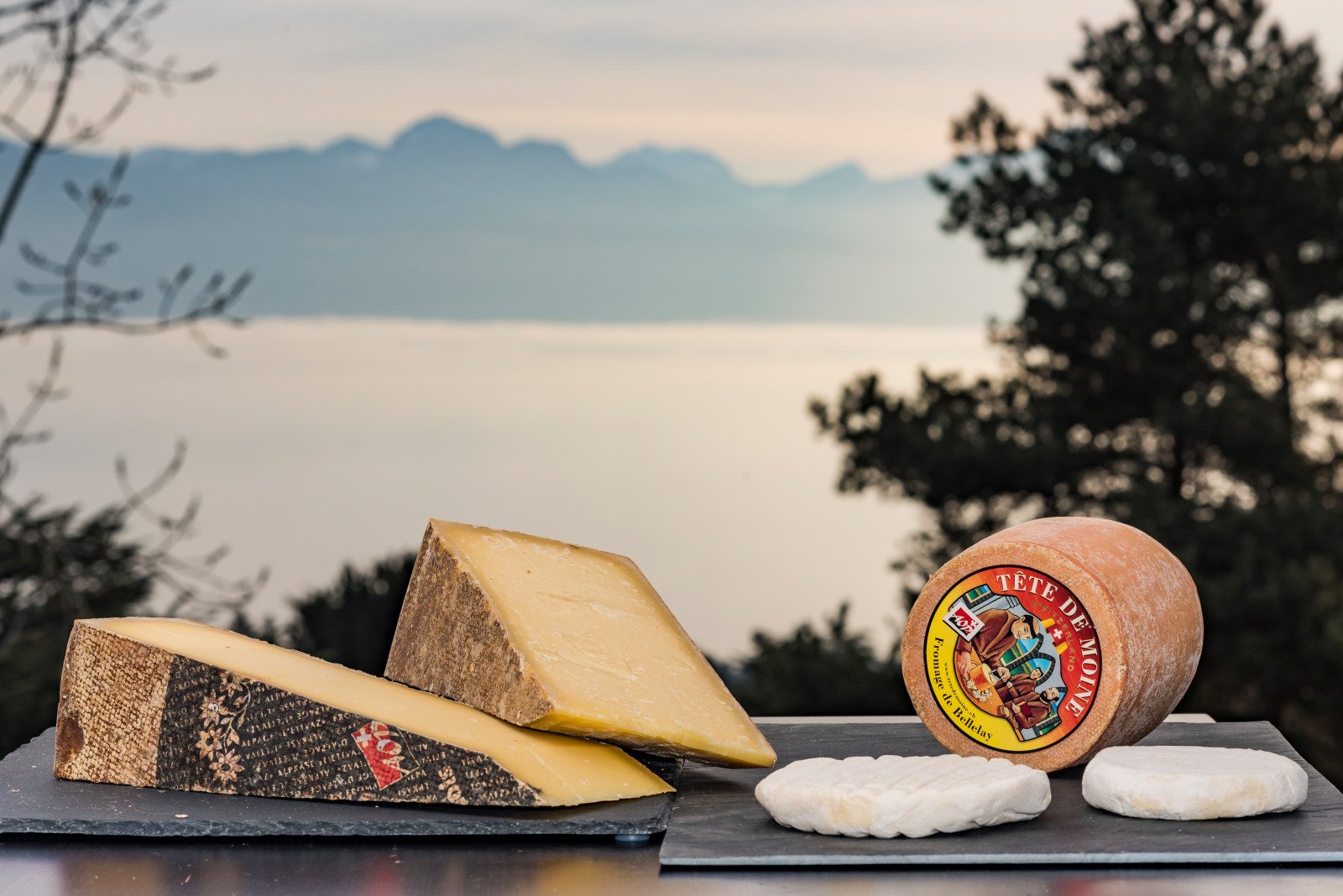 Plateau de fromages degustation en plein air