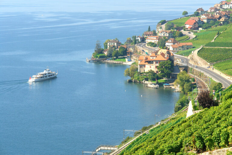 Vur sur le vignoble le lac et un bateau CGN